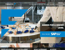 Tablet Screenshot of forgestik.com